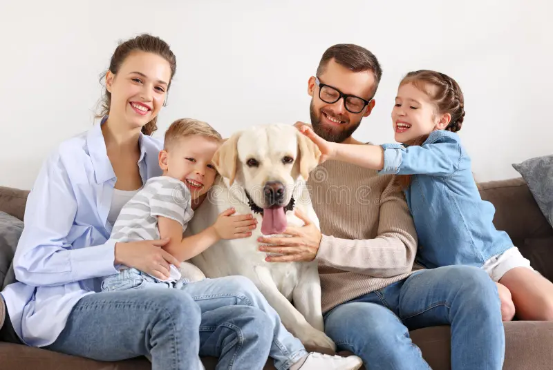 happy-family-playing-their-favorite-pet-dog-home-parent-cheerful-kids-labrador-210002273